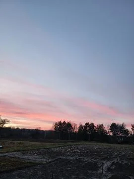 Pink sunset with clouds and treetops Stock Photos