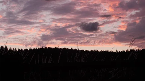 Pink sunset clouds on a beautiful summer evening with forest silhouetted 스톡 동영상 104920887