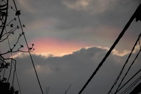 Pink Sunset Clouds Silhouette of Branches and Electrical Wires Twilight Stock Photos