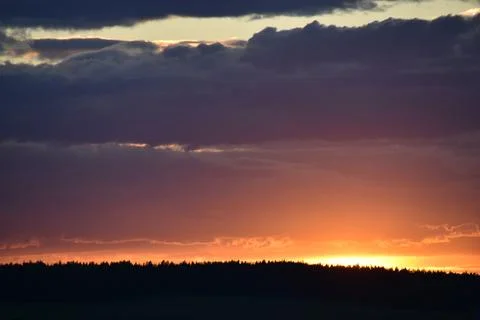 Pink sunset in the evening on a dark forest and clouds Stock Photos