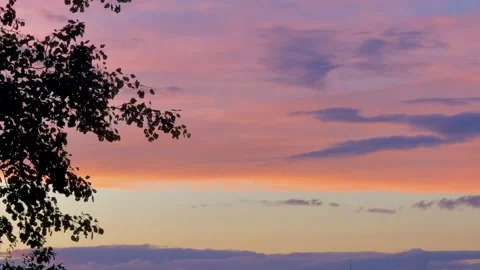 Pink sunset in the field and forest in the back, beautiful summer landscape Stock Footage 329060913