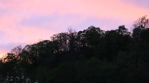 Pink sunset Stock Footage 5501181