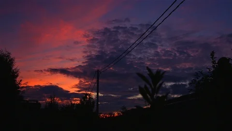 Pink Sunset Stock Footage 88131934