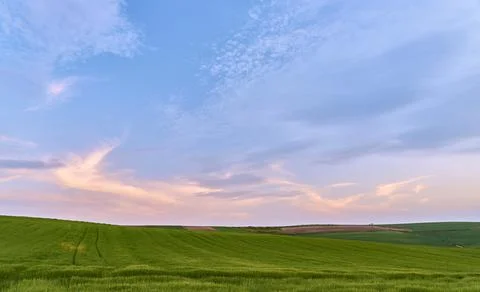 Pink sunset over cereal fields Photos