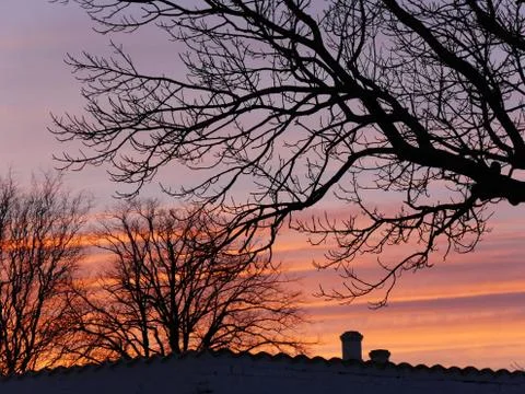 Pink Sunset over rooftop with trees in winter, Copenhagen, Denmark Stock Photos