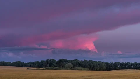 Pink Sunset Over Rural Wheat Field, Timelapse Stock Footage 343633869