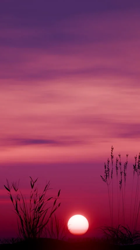 Pink sunset over silhouetted grasses in a seamless loop 動画素材 335944261
