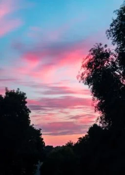 Pink Sunset Foto stock