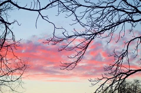 Pink  sunset Stock Photos