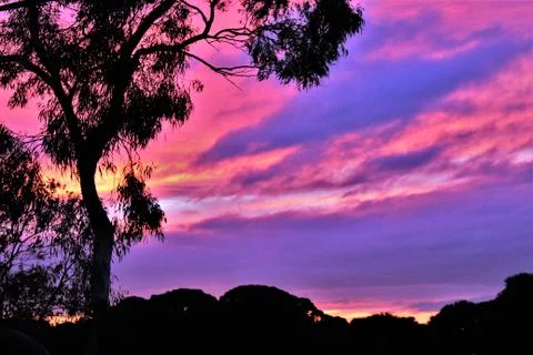 Pink Sunset Stock Photos