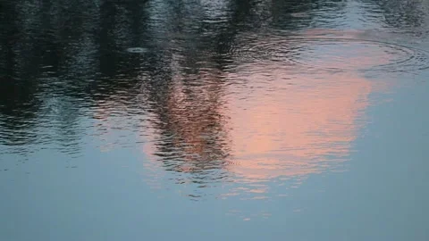Pink Sunset Sky and Tree Reflection on Rippling Water Surface with Droplet Waves Stock Footage 346336099
