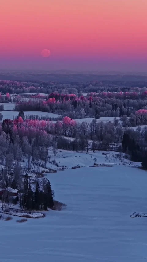 Pink sunset sky with moon over snowy forest and frozen lake vertical Stock Footage 330910312