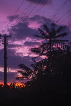 Pink sunset in summer Stock Photos
