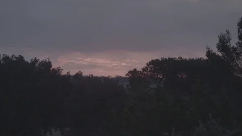 Pink Sunset through the forest  Stock Footage 72384419