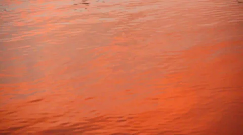 Pink Sunset in Water Ripples Stock Footage 39064591