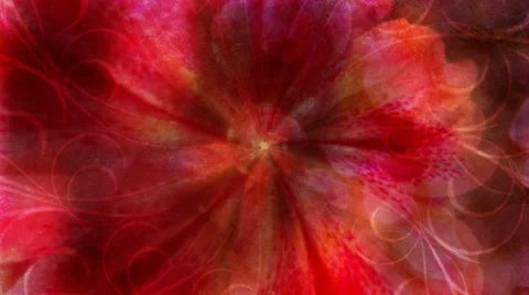 Pink Swirl Stock Footage 50764852
