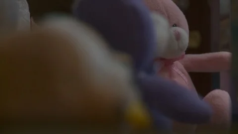 Pink teddy bear with other stuffed animals in soft focus. Vídeo Stock 111343740