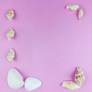 Pink Textured Background with Seashells Arranged Along Edges. Stock Photos