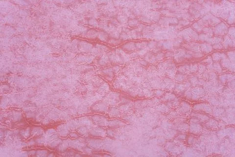 Pink textured surface with subtle crackled patterns 스톡 사진