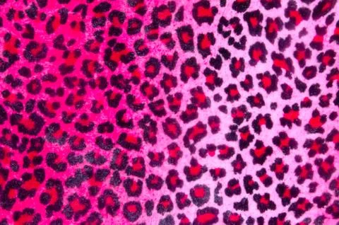 Pink tiger texture backgrounds Stock Photos