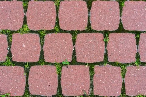 Pink tile background. Stock Photos
