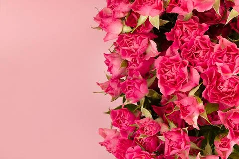 Pink tiny spray roses as border on soft light pastel pink background, texture Stock Photos