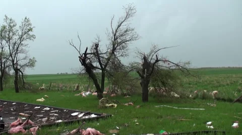 Pink Tornado Stock Footage 54750037