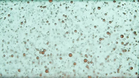 Pink translucent balls of different sizes on a blue background move from top to Stock Footage 132177658