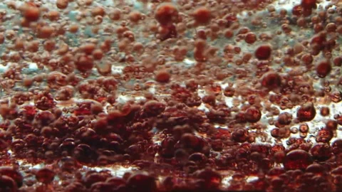 Pink translucent balls in liquid twist sledand and fall at the bottom Stock Footage 132177737