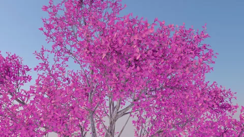 Pink Tree Background Loop Stock Footage 248641418