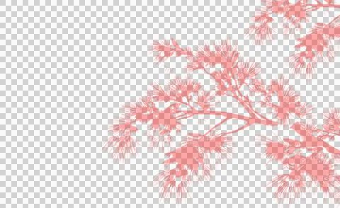 Pink tree branch shadow overlay for aesthetic photography and graphic design Illustrazione stock
