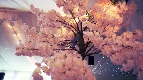 Pink tree with lights, Tree with lights, wedding decorations Video stock 232962755