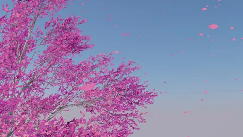 Pink Tree In The Wind Stock Footage 248609633