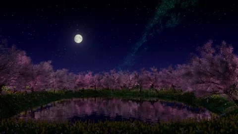 Pink trees grow around a pond Видео 339446359