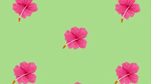 Pink tropical flowers pattern Stock Footage 201905520