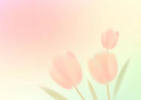 Pink tulip flower background with soft pastel blur Ilustração Stock