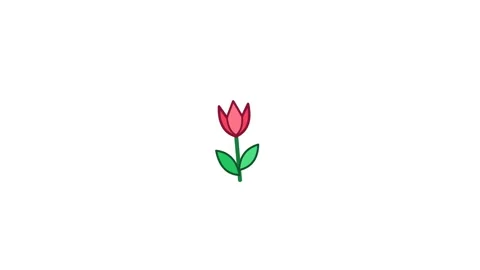 Pink tulip flowers pattern animation on white background Stock Footage 348729118