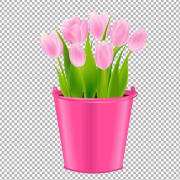 Pink Tulip In Pot Stock Illustration