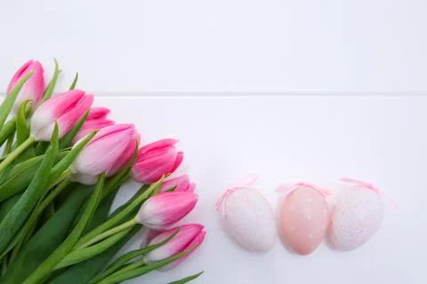 Pink Tulips and Easter Eggs isolated on white wood Background. Stock Photos