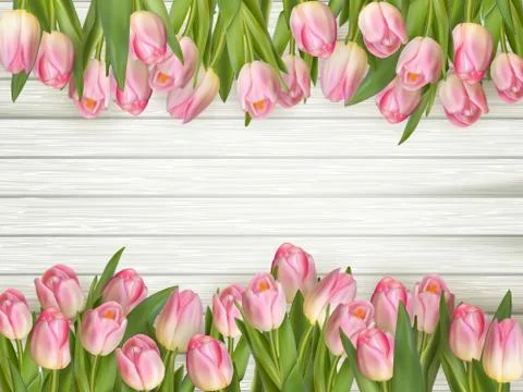 Pink tulips border. EPS 10 Illustrazione stock