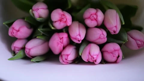 Pink tulips bouquet, macro view with smooth petals, fresh springtime elegance. Stock Footage 304620241