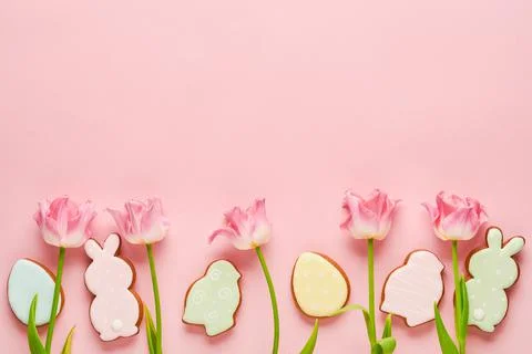 Pink tulips with easter gingerbread eggs located in a row on pink background. Stock Photos