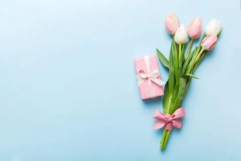 Pink tulips flowers and gift or present box on colored table background. Moth Stock Photos