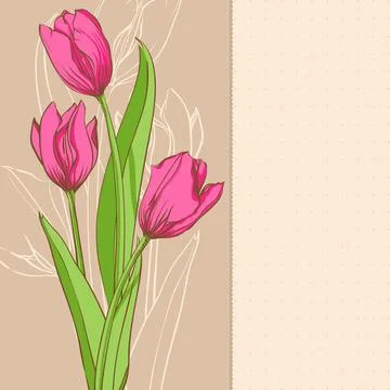 Pink tulips 库存插图