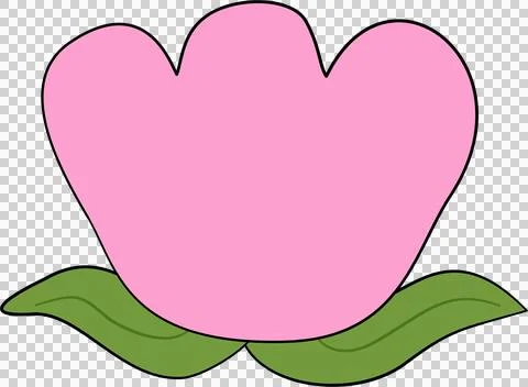 Pink tulips Stock-Illustration