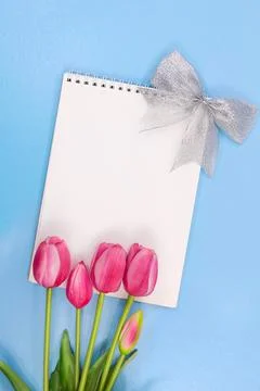 Pink tulips with notepad with silver bow and place for text on pale blue back Stock Photos