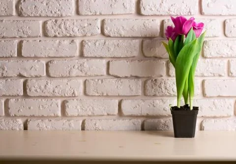 Pink tulips Stock Photos