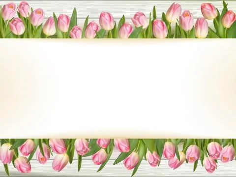 Pink tulips with space for text. EPS 10 Stock Illustration