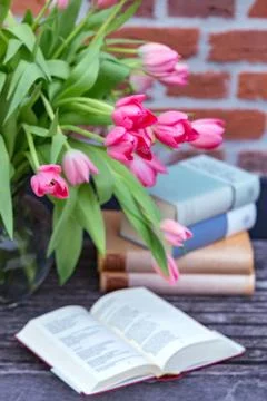 Pink tulips in a vase Stock Photos