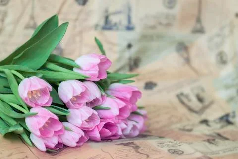 Pink tulips on vintage paper, newspaper. Spring flowers, abstract romantic fl Stock Photos